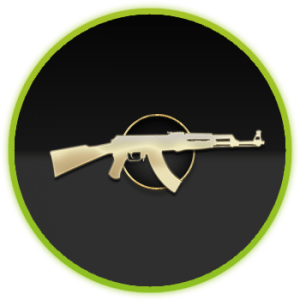 CSGO Master Guardian 1 (MG1)