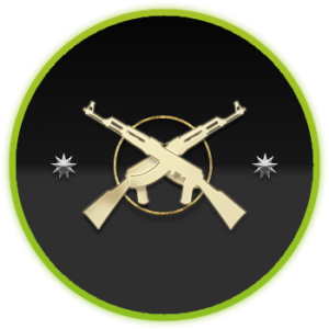 CSGO Master Guardian Elite (MGE)