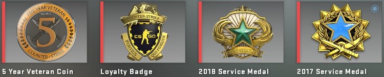 LEM |2017(lv2)- 2018(lv2) Service Medal |PR 11+ |706 Wins |1482 Hours ...